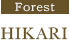 Forest HIKARI