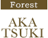 Forest AKATSUKI